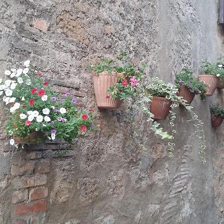 Appartamento Clementini Orvieto Dış mekan fotoğraf